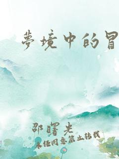梦境中的冒险家