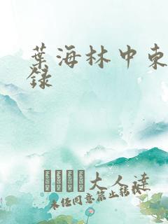 叶海林中东风云录