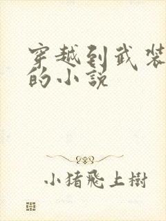 穿越到武装少女的小说