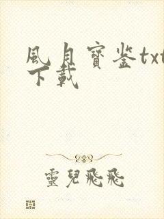 风月宝鉴txt下载