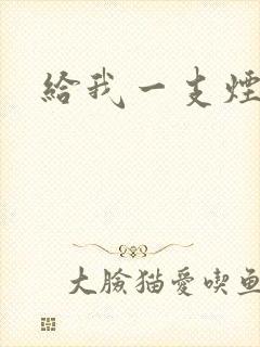 给我一支烟小说