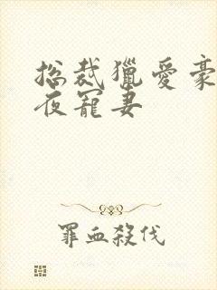 总裁猎爱豪门一夜宠妻