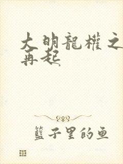 大明龙权之风云再起