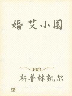 婚 艾小图