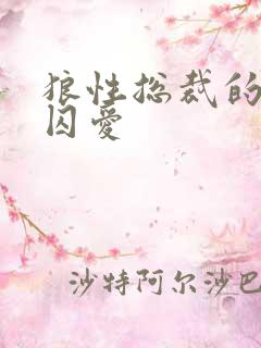 狼性总裁的地下囚爱