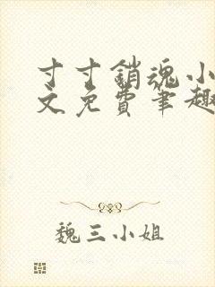 寸寸销魂小说全文免费笔趣阁