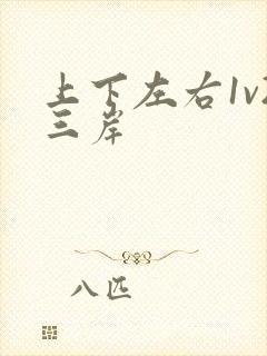 上下左右1v2三岸