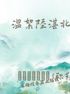 温絮陆湛北