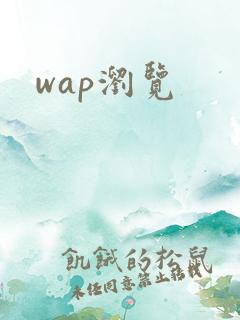 wap浏览
