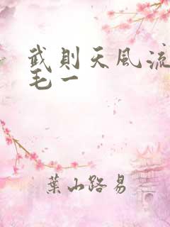 武则天风流艳情毛一