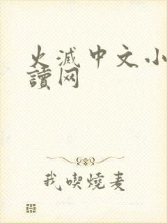 火灭中文小说阅读网