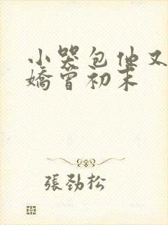 小哭包他又软又娇曾初末