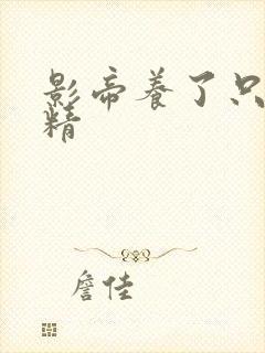 影帝养了只兰花精