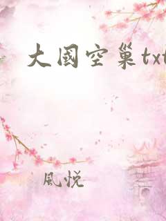 大国空巢txt