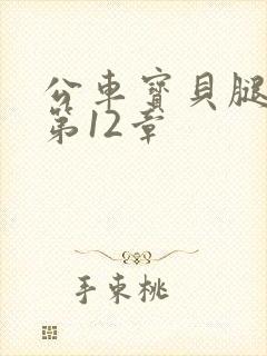 公车宝贝腿开点第12章