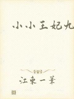 小小王妃九岁半