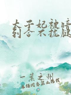 太子妃被暗卫c到合不拢腿