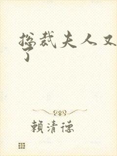 总裁夫人又征婚了