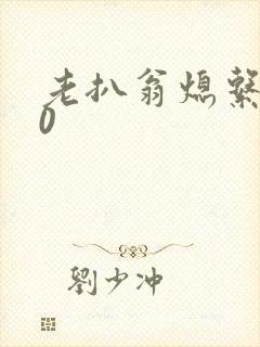 老扒翁熄系列40