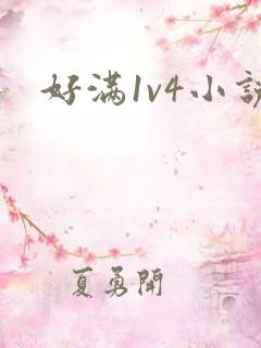 好满1v4小说