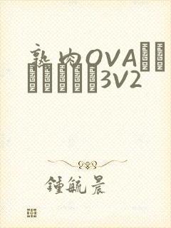 熟肉OVAちゃんはしたい3V2