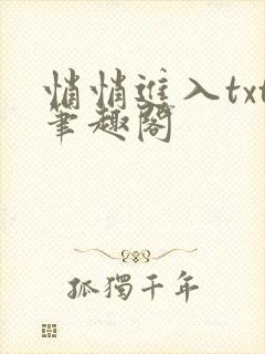 悄悄进入txt笔趣阁