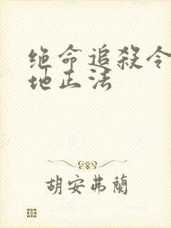 绝命追杀令2就地正法