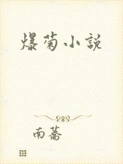 爆菊小说