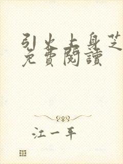 引火上身芝麻糖免费阅读