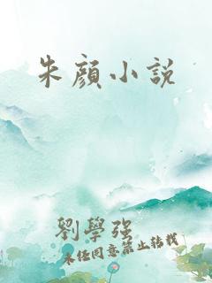 朱颜小说