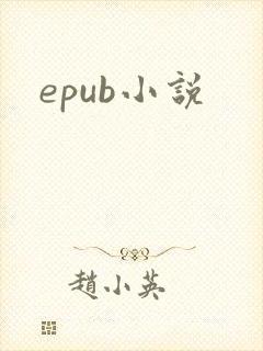epub小说