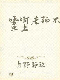 唔啊老师不可以车上