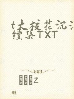 t大校花沉浮录续集TXT