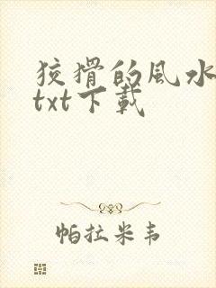 狡猾的风水相师txt下载