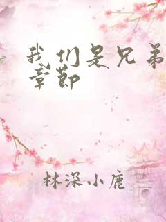 我们是兄弟最新章节