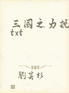 三国之力挽狂澜txt