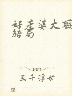 好老婆大联盟大结局