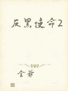 反黑使命2