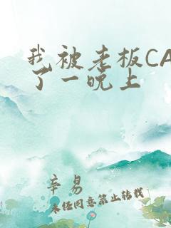 我被老板CAO了一晚上