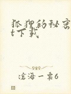 狐狸的秘密txt下载