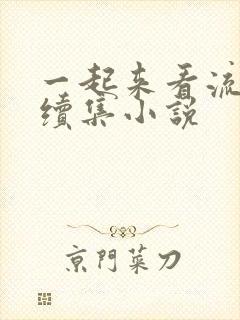 一起来看流星雨续集小说