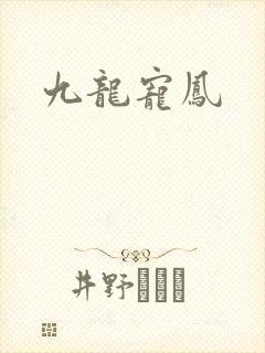 九龙宠凤