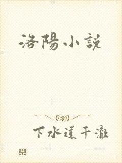 洛阳小说