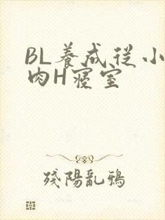BL养成从小被肉H寝室
