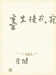 重生后我宠冠东宫