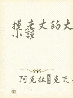 摸老丈的大牛子小说