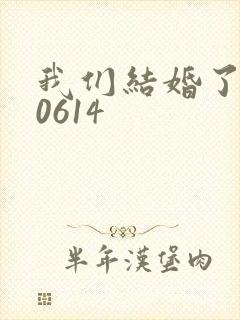 我们结婚了130614