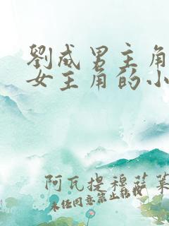 刘成男主角刘雪女主角的小说