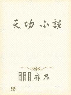 天功 小说