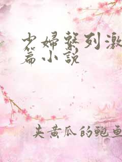 少妇系列激情短篇小说